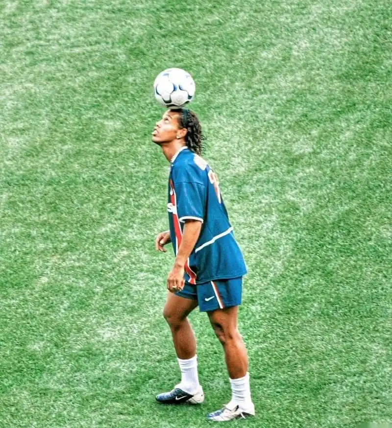 術語描述擋 術語描述擋